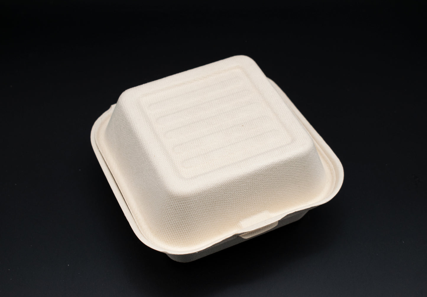 Burgerbox aus Zuckerrohr / ungeteilt / in 3 Größe