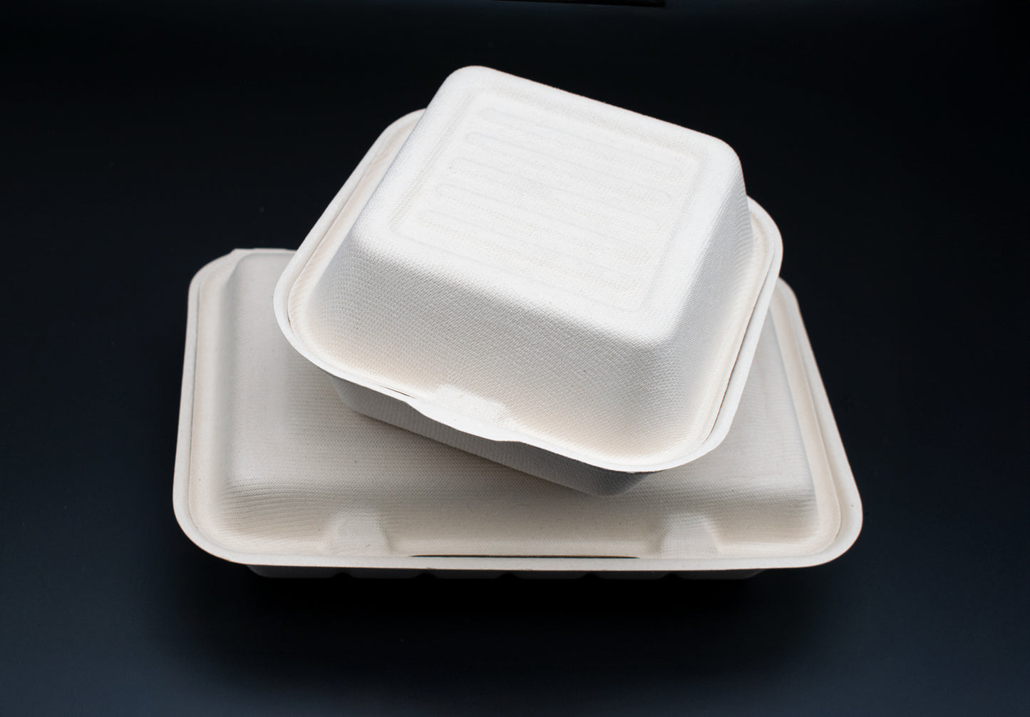 Burgerbox aus Zuckerrohr / ungeteilt / in 3 Größe
