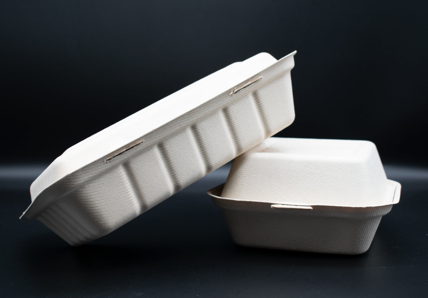 Kollektion aus Zuckerrohr (Bagasse)