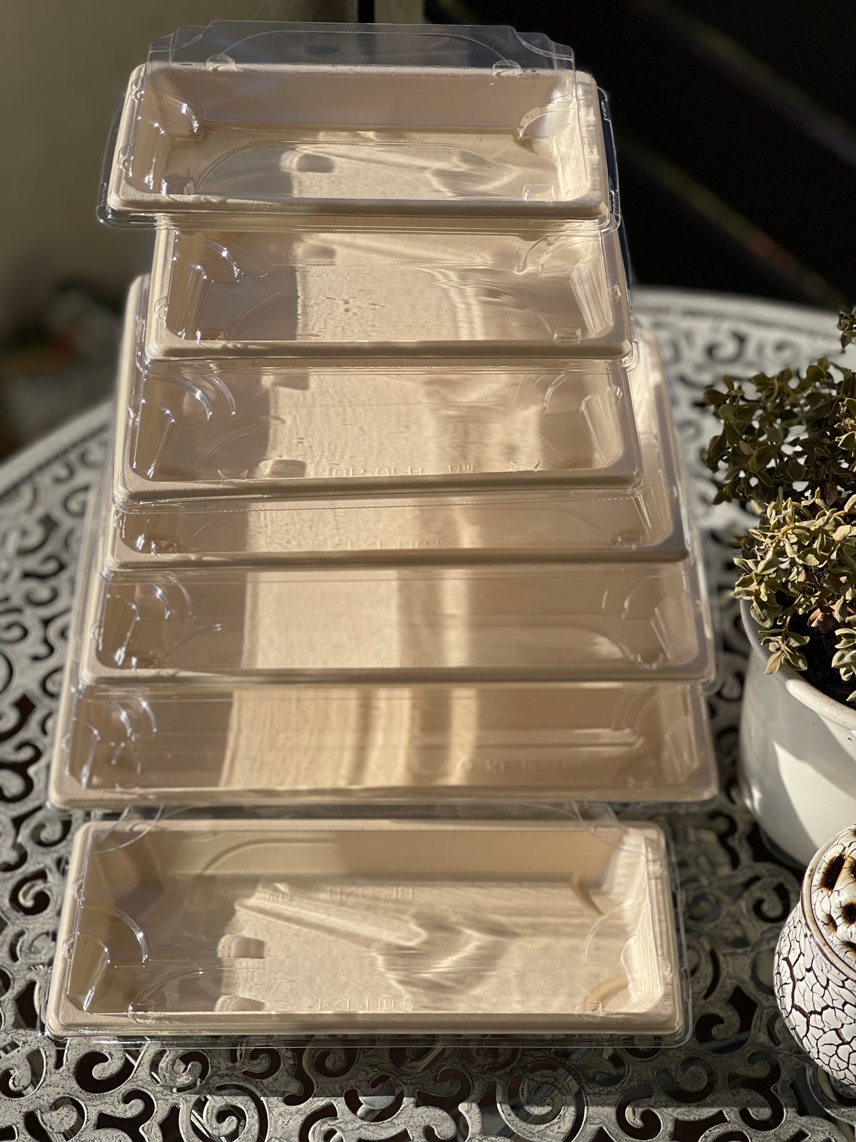 Sushi-Schalen aus Bagasse mit PET-Deckel – Detailansicht